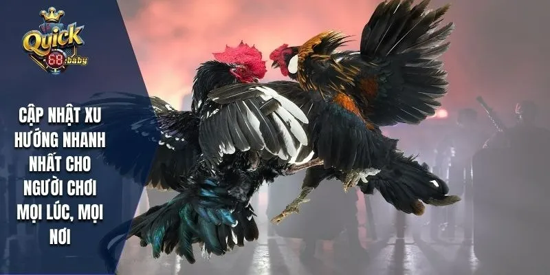 Cập nhật xu hướng nhanh nhất cho người chơi mọi lúc, mọi nơi