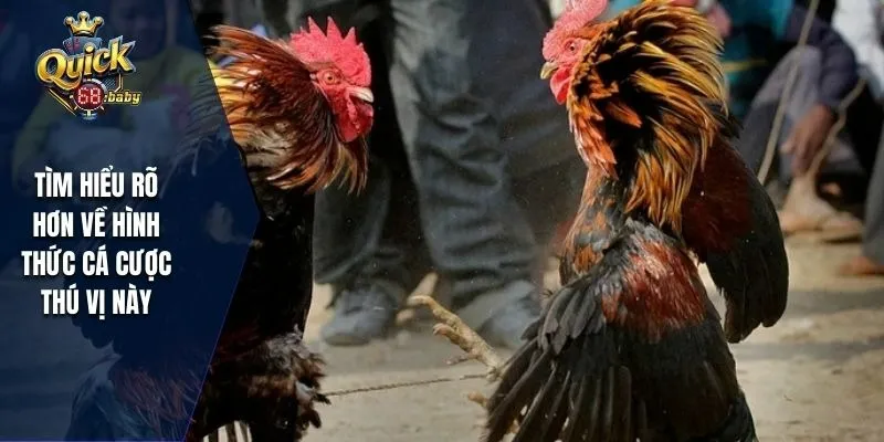 Tìm hiểu rõ hơn về hình thức cá cược thú vị này